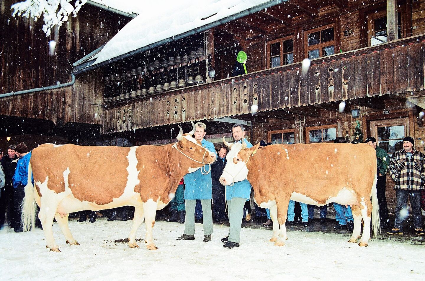 Das Bild ist jetzt 20 Jahre alt. Schon im Jahr 2005 besuchten die SF-Züchter den Betrieb von der Familie Hadorn in Schangnau. Hier mit den Kühen Pickel Arosa (l.) und Pickel Azzura. Am 1. Februar öffnen Hadorns wieder die Stallstüren für die IG Swiss Fleckvieh.