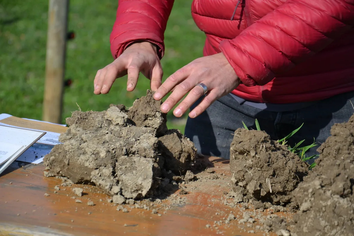 Im Mentoring-Projekt vermitteln Fachleute und Coaches, wie die Umsetzung der regenerativen Landwirtschaft gelingt. Dazu wird ein individueller Plan erarbeitet. 