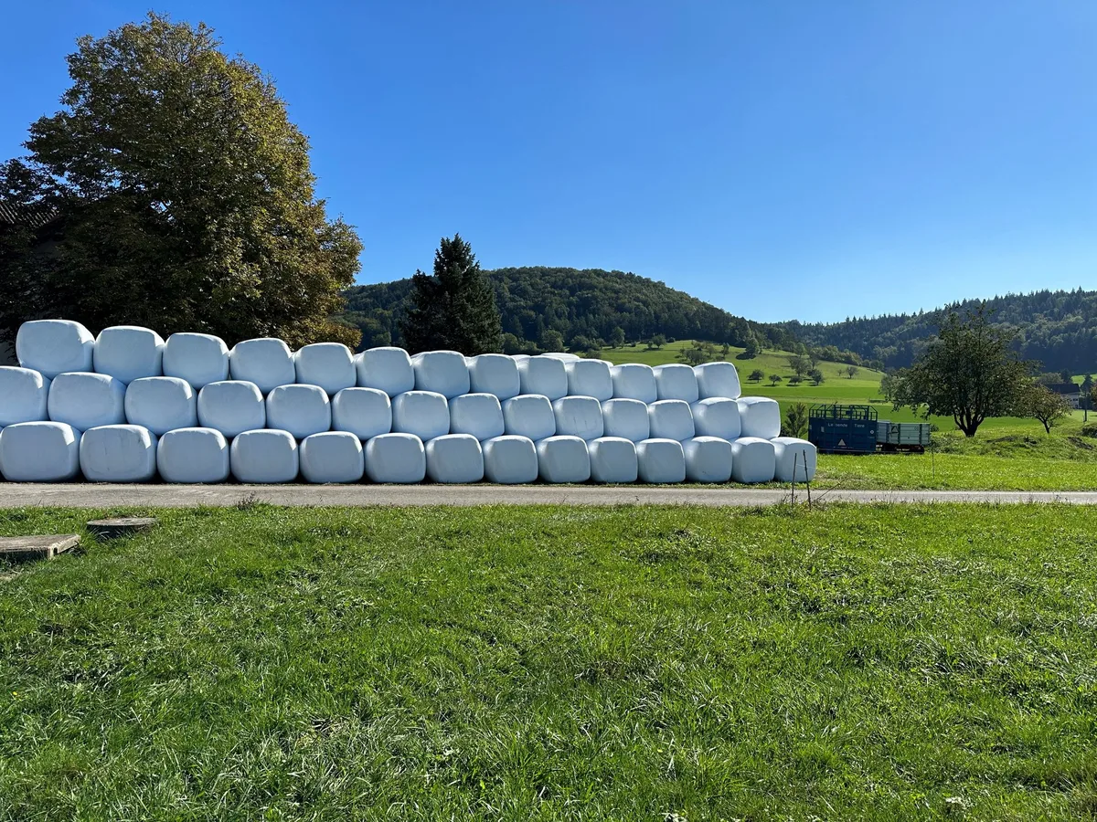 Siloballen_Herzog Jede Tonne zählt: Warum sich das Recycling von Agrarkunststoffen lohnt