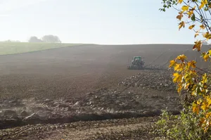 Die Produktion flächenmässig auf Kosten der Biodiversitätsförderflächen auszuweiten, ist nach Ansicht einer Mehrheit im Ständerat keine gute Idee.