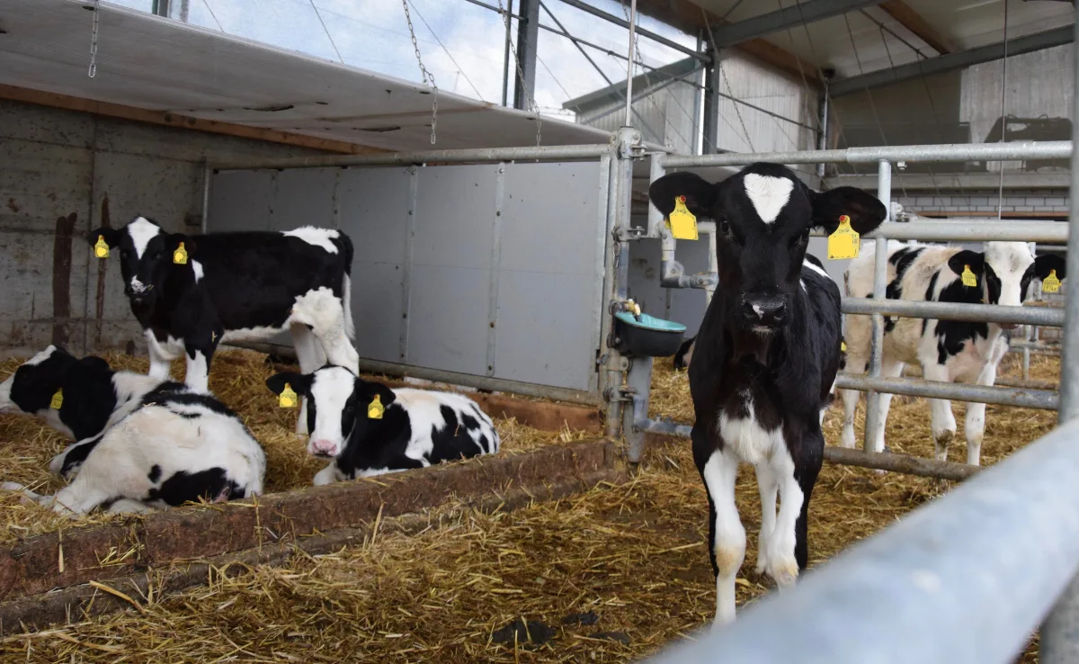 BZ_-_Artikel_diversMarken Antibiotikavertrieb ging auch 2022 zurück