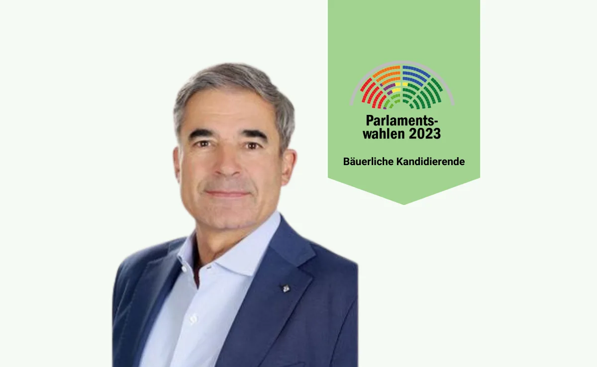 Bruno Loi