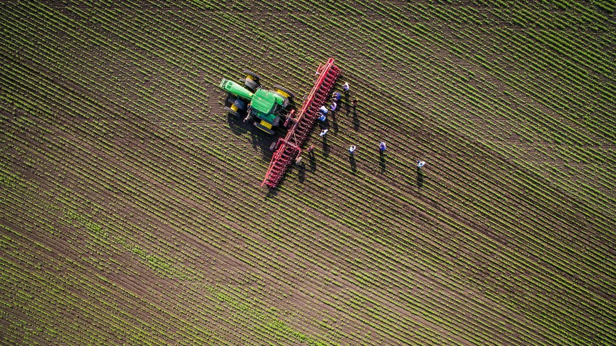 ausland_ackerbau-in-der-ukraine_arnika-organic Brotkorb Ukraine – Rückkehr nach Europa?