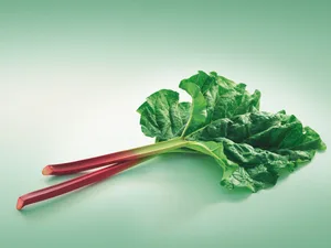 Rhabarber gehört zur Familie der Knöterichgewächse und ist äusserst gesund. (Bild: zVg)