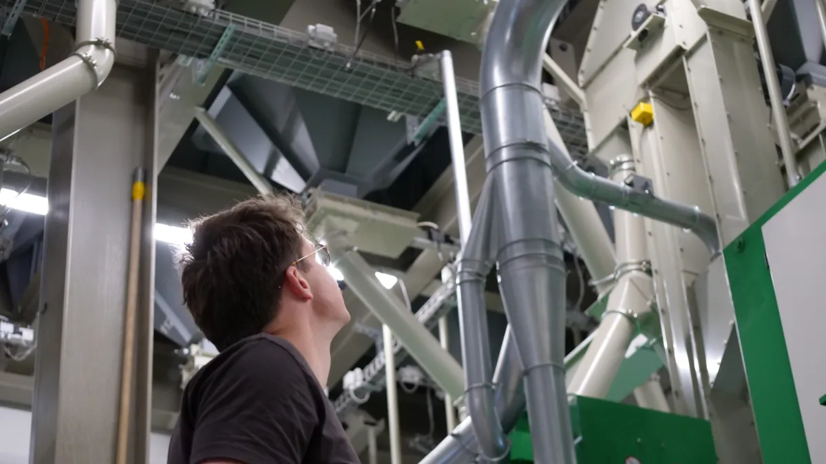 Joel Grossrieder Saatzucht Düdingen Blick in die Zukunft: Joël Grossrieder, Produktionsleiter und Geschäftsführer der Saatzucht Düdingen, schaut auf den Bereich, in dem das Saatgut später in die neue Anlage einlaufen wird.