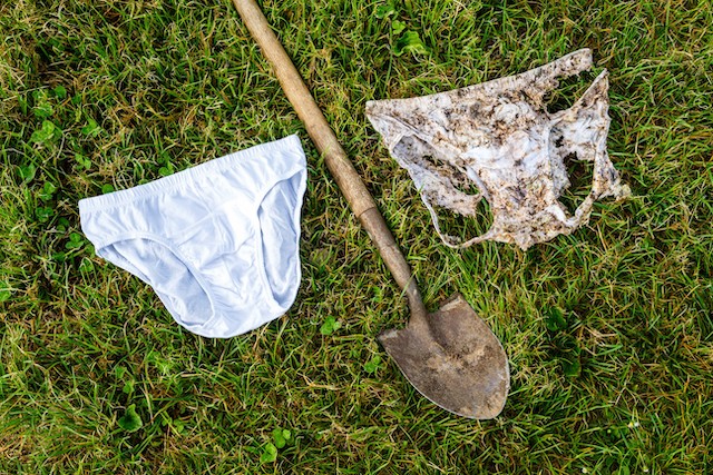 So könnte Ihre Unterhose nach zwei Monaten aussehen. (Bild Agroscope)