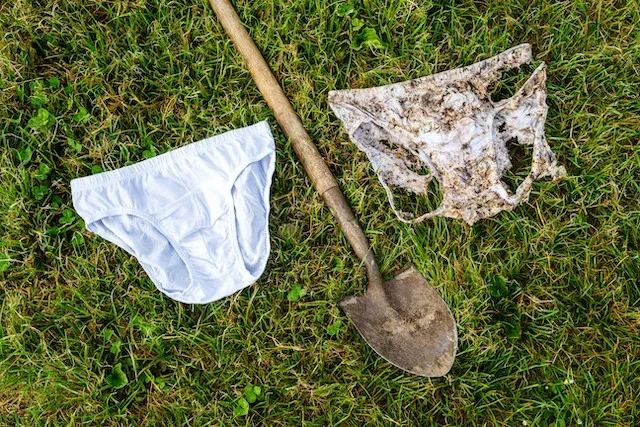 So könnte Ihre Unterhose nach zwei Monaten aussehen. (Bild Agroscope)