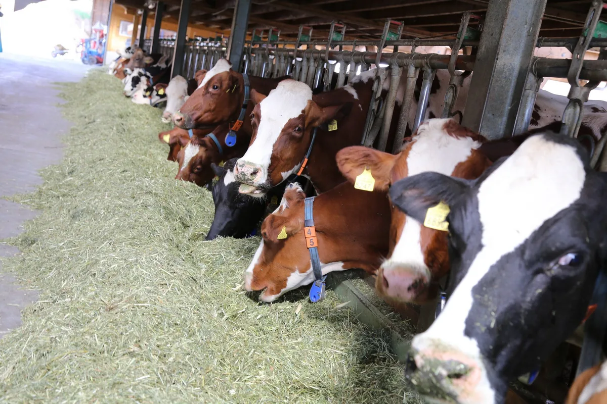 img_8512__2_ Bio-Landwirtschaft setzt auf Klimaneutralität