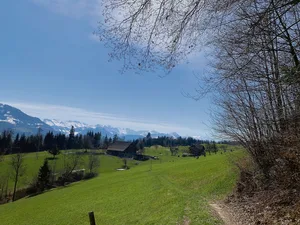 Frühjahrsweide nahe eines Waldes. Immer wieder gibt es Diskussionen um die Beweidung von Wäldern oder Waldrändern.