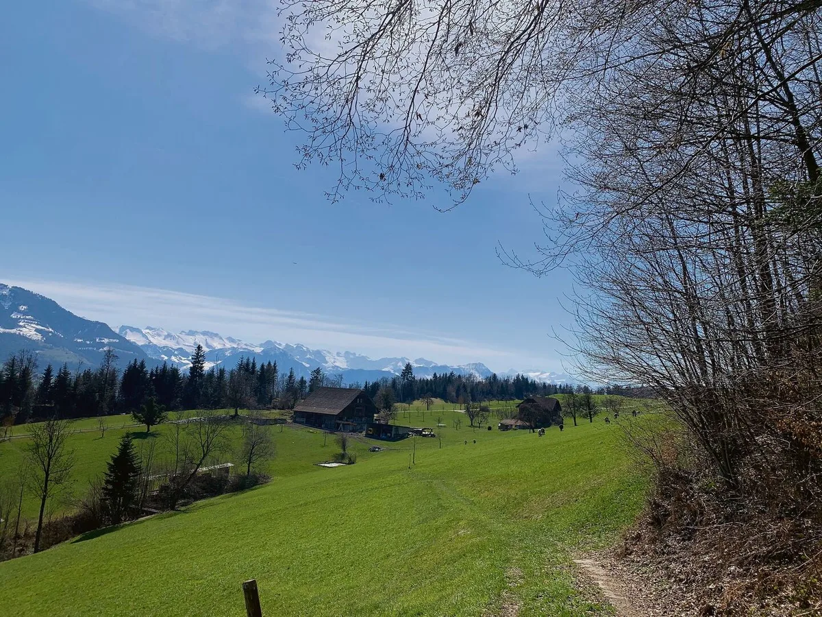 984dd7af66f3751003d0efd0ebcb5a81611281a491bfb5cd7561c31e33b9ea5f Frühjahrsweide nahe eines Waldes. Immer wieder gibt es Diskussionen um die Beweidung von Wäldern oder Waldrändern.