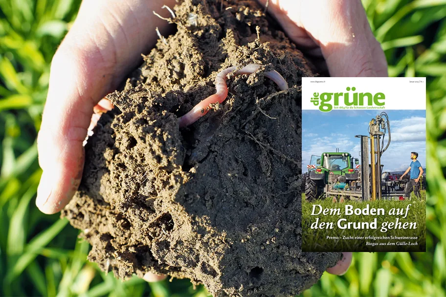«die grüne» im Januar 2023 – Dem Boden auf den Grund gehen