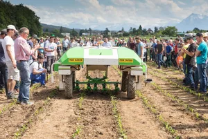 Zusätzliche Unterstützung für Landwirte, die etwa in nachhaltigen Pflanzenschutz investieren wollen, dürfe nicht zulasten der Direktzahlungen gehen, findet der Vorstand der LDK.