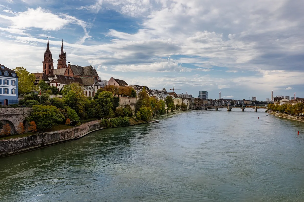 Japankäfer: In Basel läuft die Ausrottungsaktion