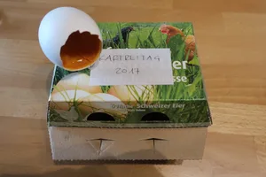 Fein säuberlich, mit der Jahrzahl beschriftet, werden die Karfreitageier im Karton aufbewahrt. Sie trocknen übers Jahr langsam aus. (Bilder et)