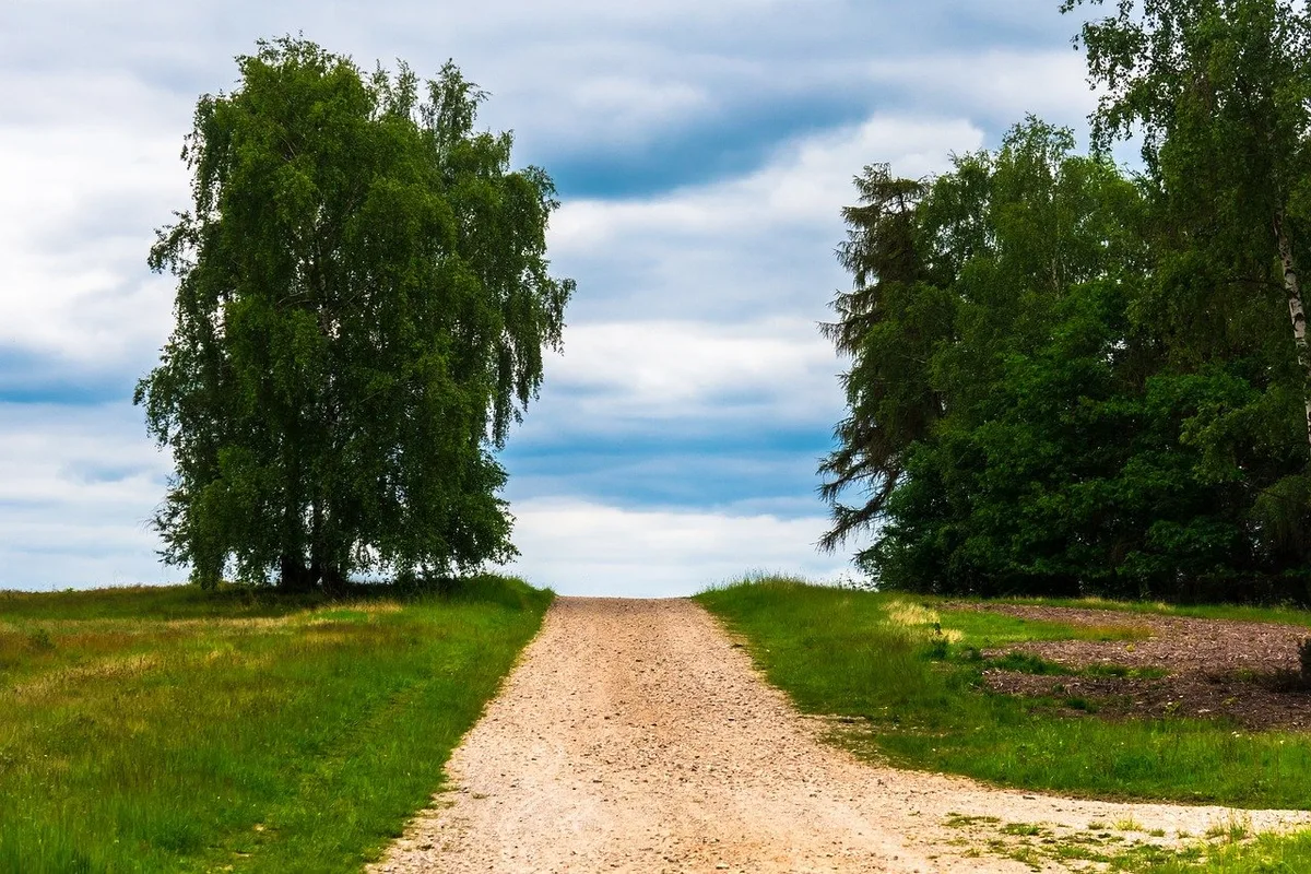 path-4308217_1280 Das Ende eines Lebenswerkes