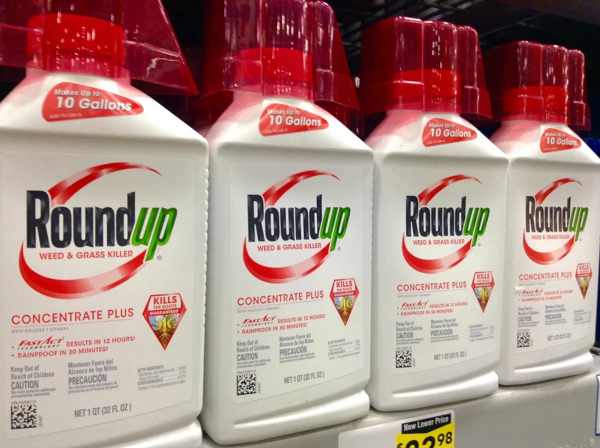 4e38a880ee1e5d250c87631eee16658719b9a4a1 Roundup-Produkte enthalten den Wirkstoff Glyphosat enthalten. (Bild Mike Mozart)