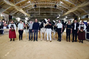 Senior-Championne-Wahl (v. l. n. r.): Reserve: Frauchwil 1Stclass Sheen; Championne: Illens Victor Noemi; Schöneuter: Fahrni Doppler Palma; Reserve: Allenbach Bad Manuela.