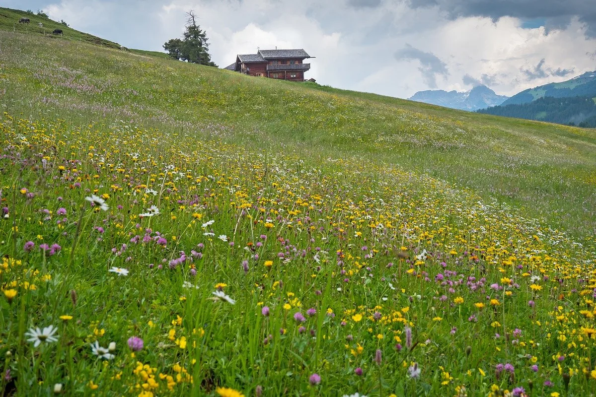 5e933529393b67428a1a6b2d3e0e7119ee915cfb Auch auf der Alp kommt man heute kaum mehr ohne Internetanschluss zurecht. (Symbolbild Pixabay)