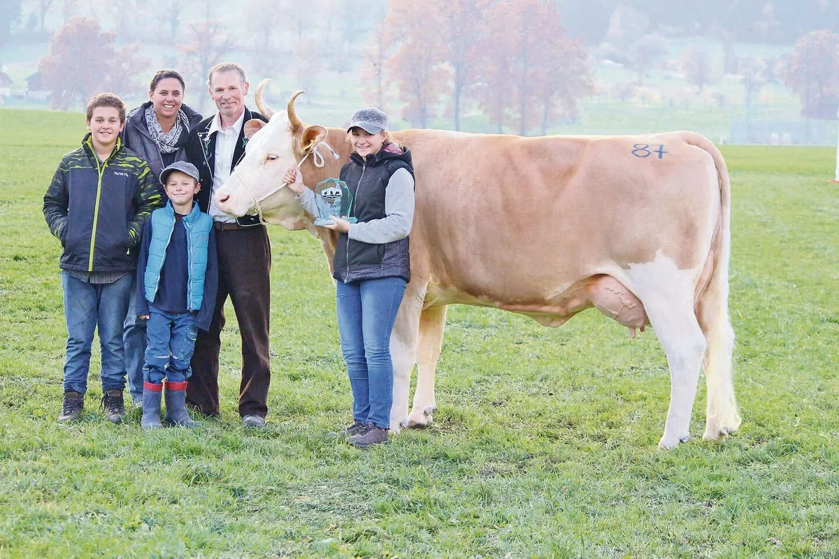 a42b6b651525aabaaba09f78141233d66802460bdd252db0eeaf88549b49e5b3 Martina und Willy Birrer mit den Kindern Dominic, Christian und Giuliana (v. l.) und ihrer Simmentaler-Schönheit Dubai, die weiss, was sie will.