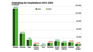 Unsere Grafik zeigt, wie sich die landwirtschaftlichen Hauptkulturen zwischen 2019 und 2020 verändert haben. (Daten Bundesamt für Statistik/Grafik Mathieu Induni/BauernZeitung)