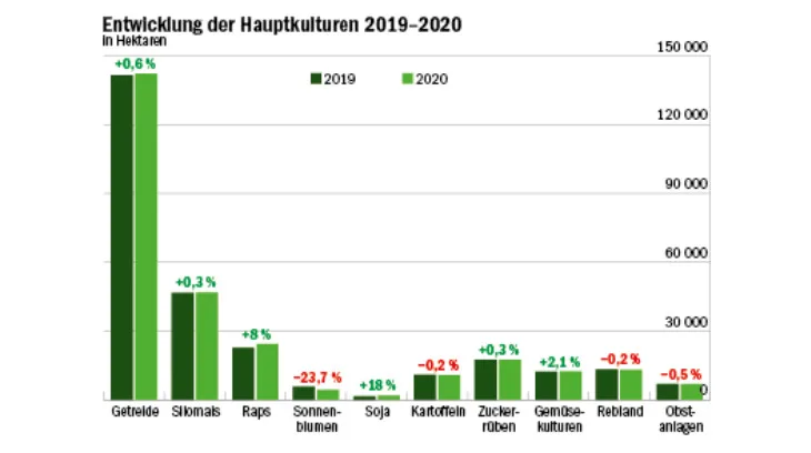 bcc134b78d300159ad15f365ea61bf13fc27256d Unsere Grafik zeigt, wie sich die landwirtschaftlichen Hauptkulturen zwischen 2019 und 2020 verändert haben. (Daten Bundesamt für Statistik/Grafik Mathieu Induni/BauernZeitung)