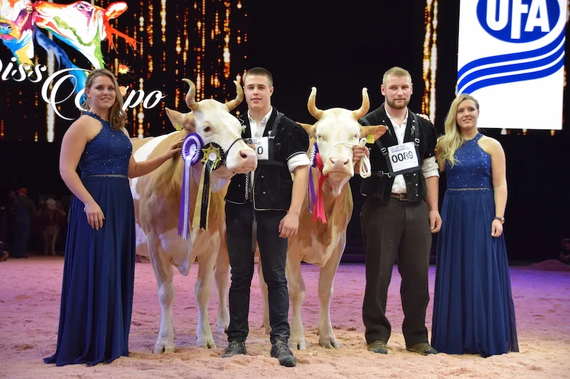 1814919e7b60ca7698ad4030d4858aaa2ff11ecf Die Simmental-Champion 2020 heisst Fabbio Azalea (links) von Ueli Schärz, Aeschi b. Spiez. Unetto Wallonie, Familie Schmid, Guggisberg BE, wurde Reserve-Champion. (Bild jba)