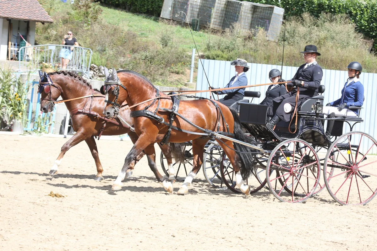 Ein fulminantes Pferdefest zum 100 Jahre Jubiläum der PZG Birstal