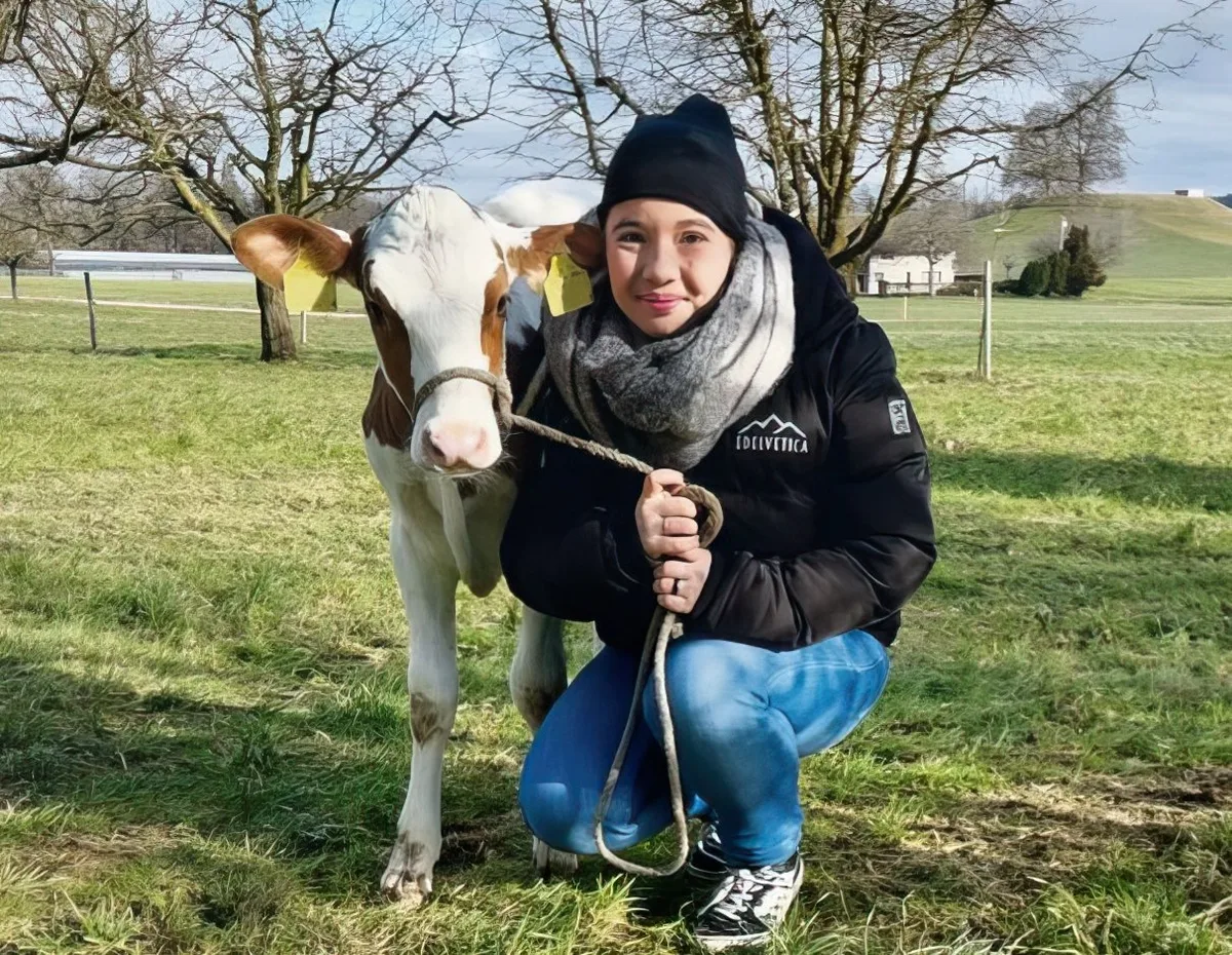 Ein Spaziergang mit einem Kalb gegen die Prüfungsangst