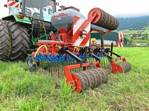 Mit einer rechtzeitigen Übersaat im Frühling lassen sich lückige Pflanzenbestände verbessern.