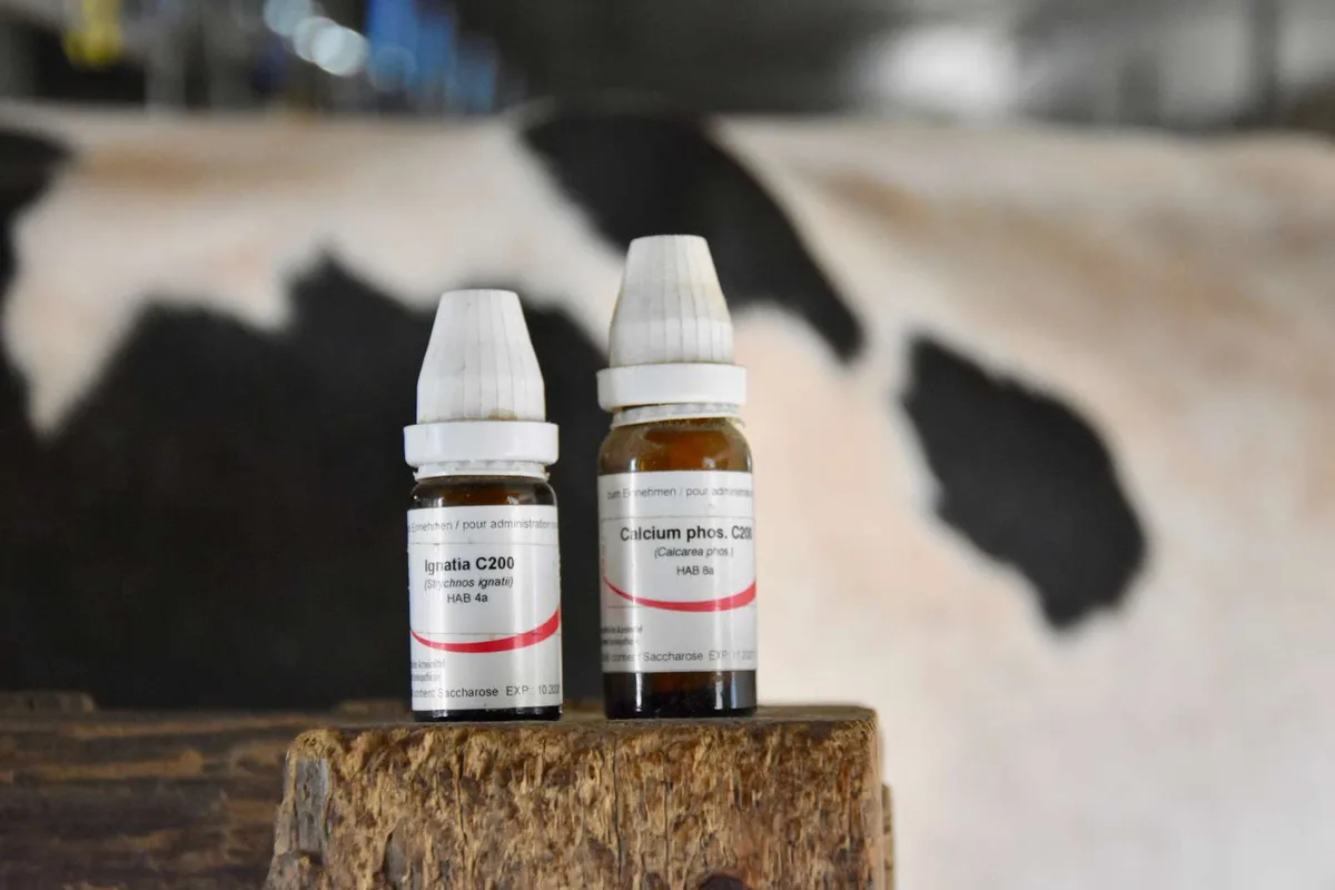 Die Homöopathie lässt die Kraft der Natur walten