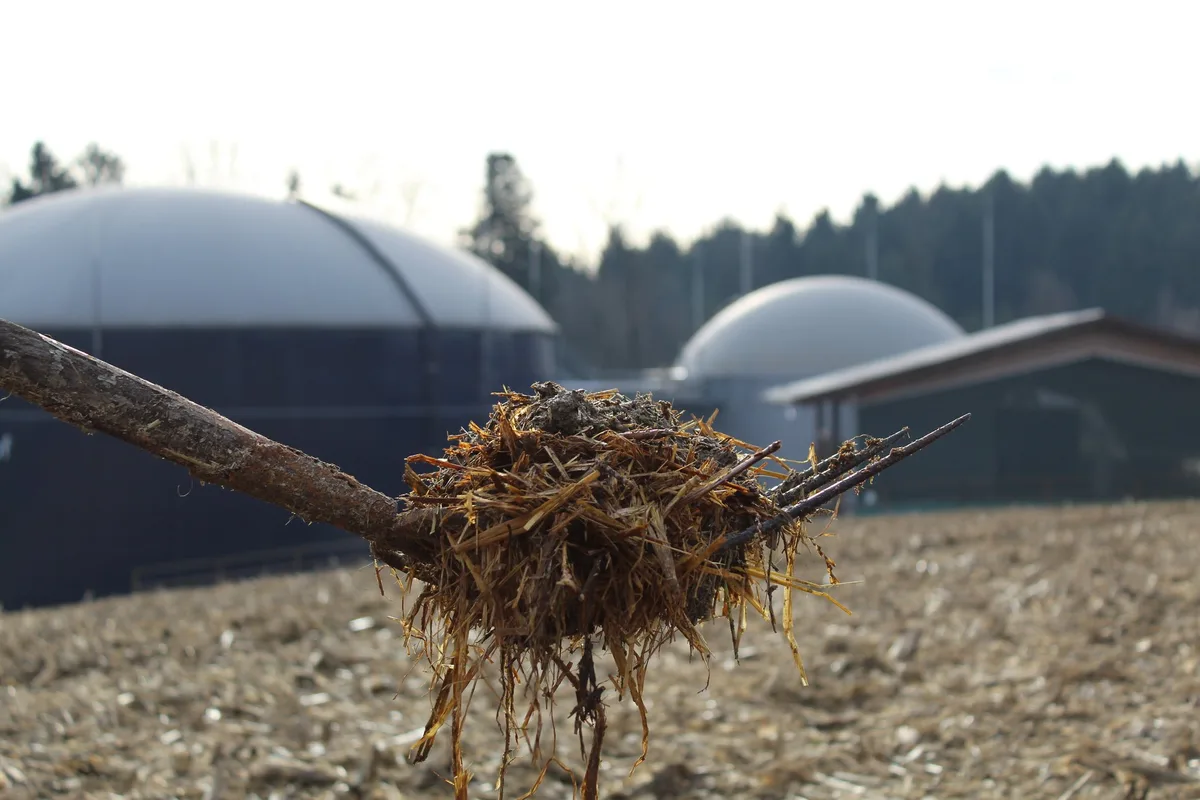 biomasse-oekostrom-ch Die Förderlücke für Biomasse wurde gerade noch gestopft