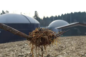 Die lückenlose Förderung landwirtschaftlicher Biomasseanlagen ist essentiell, damit diese ihren Beitrag zur Erreichung der Schweizer Energie- und Klimaziele leisten können, so Ökostrom Schweiz.