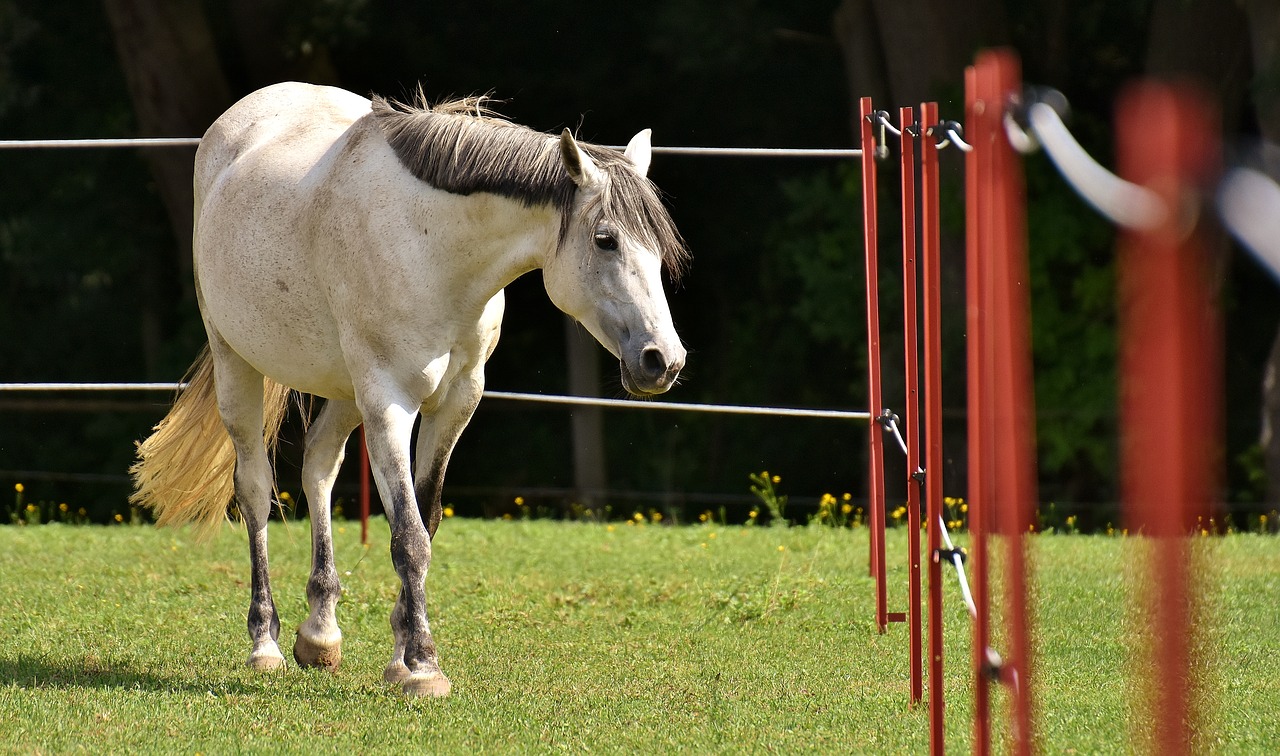 (Symbolbild Pixabay)