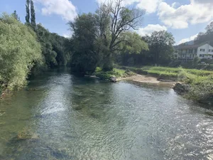 Bei der Revitalisierung «Inseli» an der Birs in Grellingen wurden rund 10'000 Quadratmeter zusammen mit dem Flussabschnitt ökologisch aufgewertet.