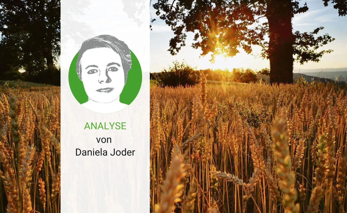 analyse-joder-10 Warum unsere Welt nicht in Basel enden darf