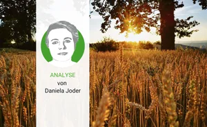 Krieg, Krise, Hunger und Versorgungsengpässe hindern die Grosskonzerne nicht daran, bereits wieder auf die Produzentenpreise zu drücken.