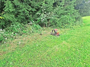 Mindestens zweimal im Jahr werden auf dem Lehrbetrieb von Simon Broger die Waldränder zurückgestutzt.