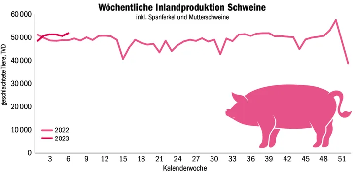 5ffbf394afb53a4a0497a1ed9f8a72485196e285b49f65c83e9022f71807a147 Heute ist Tag des Schweins – das sind unsere besten Artikel zum Thema
