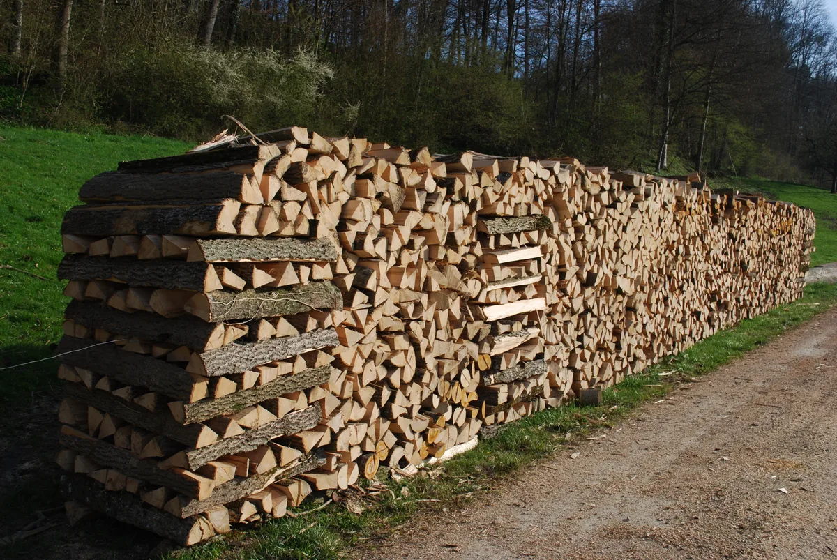 DSC_0005.jpeg Holz ist gesucht: Damit im Spätherbst Holz geliefert werden kann, müssen die Waldbesitzer jetzt mit dem zuständigen Revierförster die Holzschläge planen.
