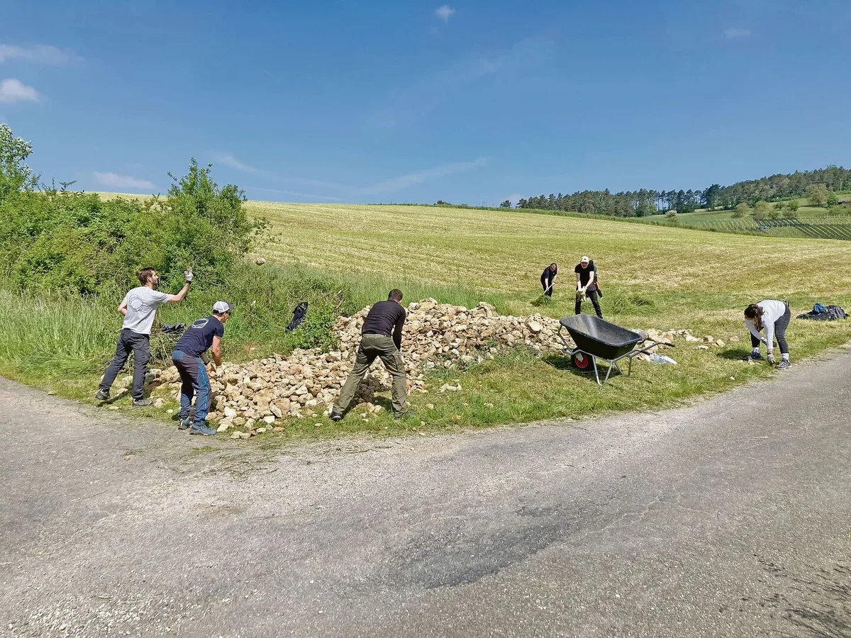 f1664f678294e17956b1a00c319b956f12a2ca46ba5d2f540f795b4850a87a96 Freiwillige im Natureinsatz im Jurapark: Bau einer Steinlinse für Reptilien auf dem Eichhof in Bözen.