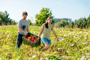 Matthias Knecht, Lernender der biodynamischen landwirtschaftlichen Ausbildung und Lena Lampart, angehende Köchin bei der Kürbisernte.