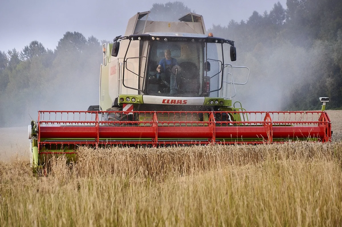 ernte_getreide Die Getreidepreise steigen um weitere Fr. 1.- bis 1.50/dt