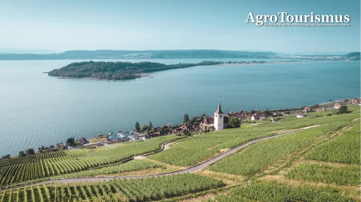 58e161b31edd8d6c0c87cfd0f4ad56b1b12d63ed Die Kirche Ligerz in den Rebbergen ist ein Wahrzeichen der Region. Ein anderes ist die St. Petersinsel. (Bild Schweiz Tourismus)