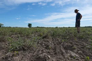 Die Landwirtschaft ist global herausgefordert.
