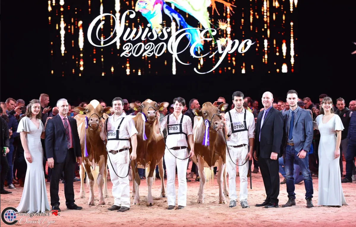 5722c718e6fff7792d2df98176883956e02beaa1 Grand Championwahl (v. l. n. r.): Absolute Tochter Zaia von Etienne und Anthony Genoud aus Châtel-St-Denis FR; Reserve C P P Armani Rxana von Piller Holstein aus La Roche FR. Drittplatzierte Majoric Absolute Armenya von Majoric Holstein aus Rueyres-Treyfayes FR. (Bilder Cowsmopolitan)