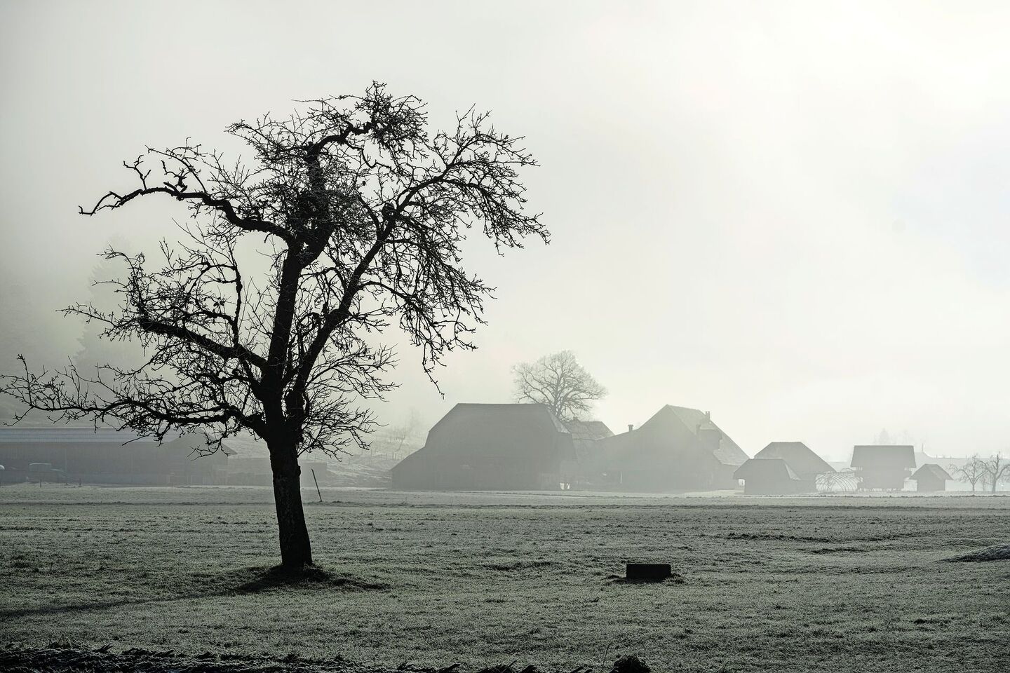 Die Bauern stehen aktuell noch im Nebel, wenn es um die genaue Ausarbeitung einer «klimafreundlichen Produktion» geht.