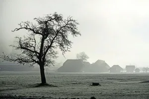 Die Bauern stehen aktuell noch im Nebel, wenn es um die genaue Ausarbeitung einer «klimafreundlichen Produktion» geht.