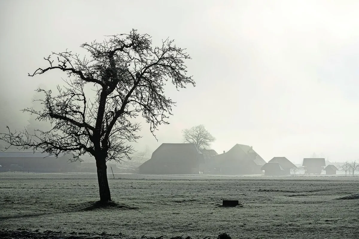 c45ebcbc60621a123f9835e9d92b2c6f463ee5e37bf01a0105f947c6c57e6e2b Die Bauern stehen aktuell noch im Nebel, wenn es um die genaue Ausarbeitung einer «klimafreundlichen Produktion» geht.