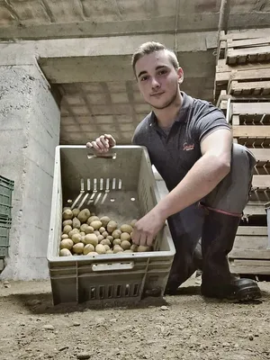 Lukas Niederberger ist im zweiten Lehrjahr. Kürzlich hat sein Lehrbetrieb in Belp BE die Kartoffelernte abgeschlossen.