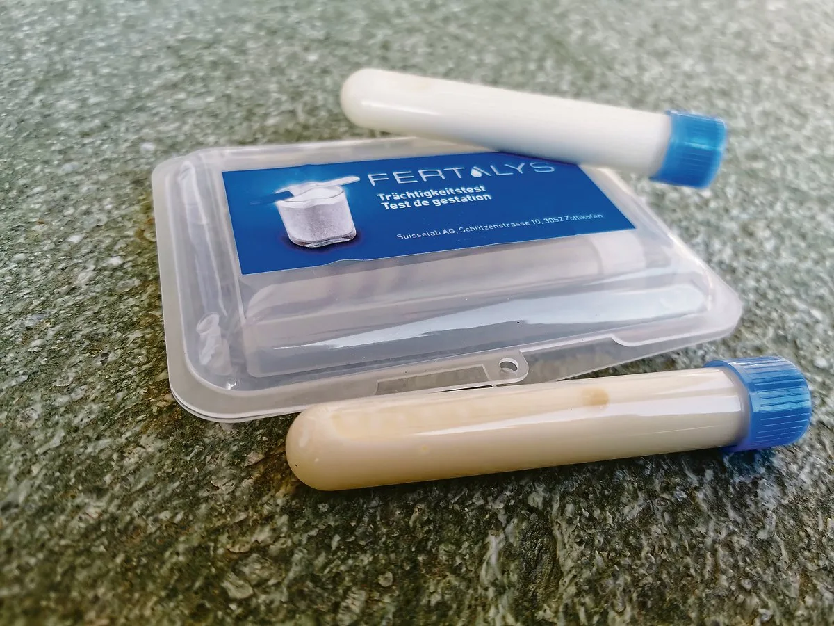 691e97575f20f07947cecaef6eb6950e5aadfac3 Wer Trächtigkeit, Zellzahl, Gehalte, Harnstoff oder Mastitiden in der Milch untersuchen will, muss selbst Proben nehmen.(Bild sb)